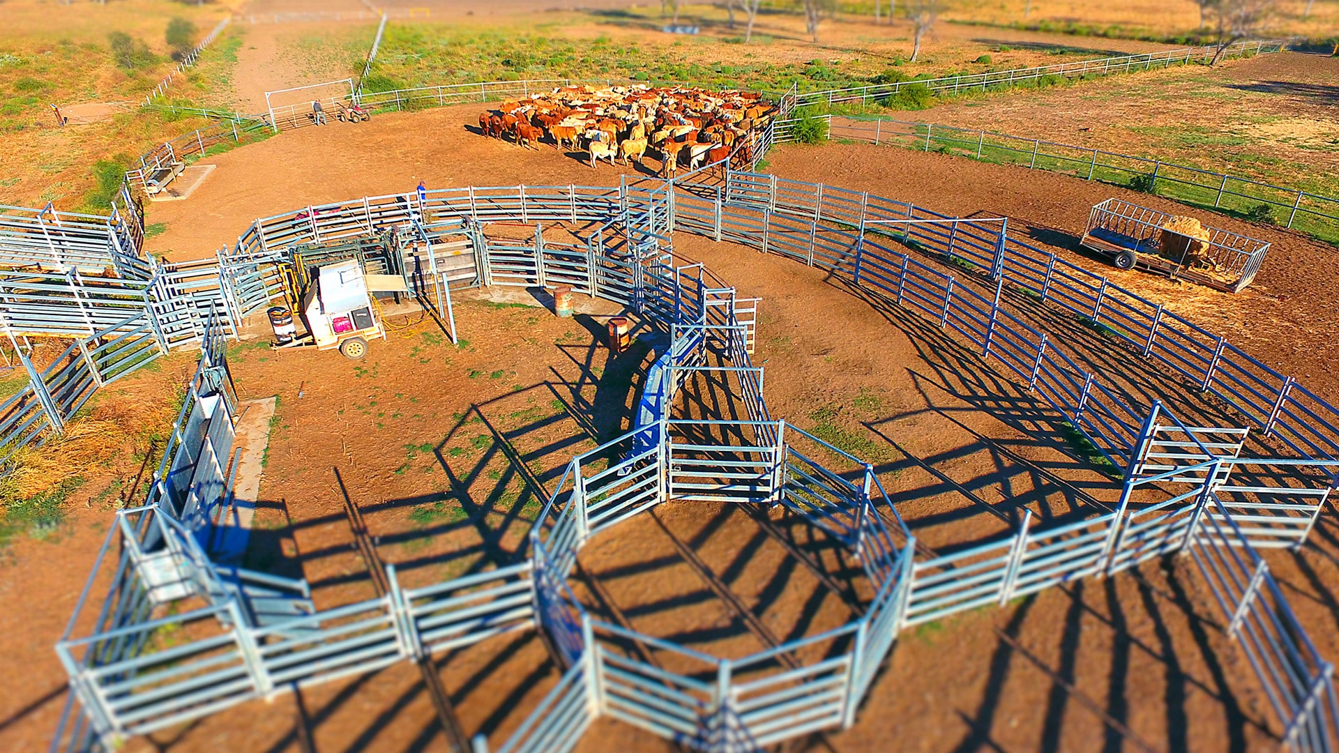 cattle yard system design plan panel sheep yard design horse round yard banner