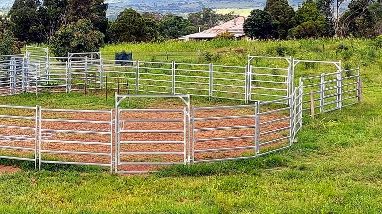 horse round yard banner