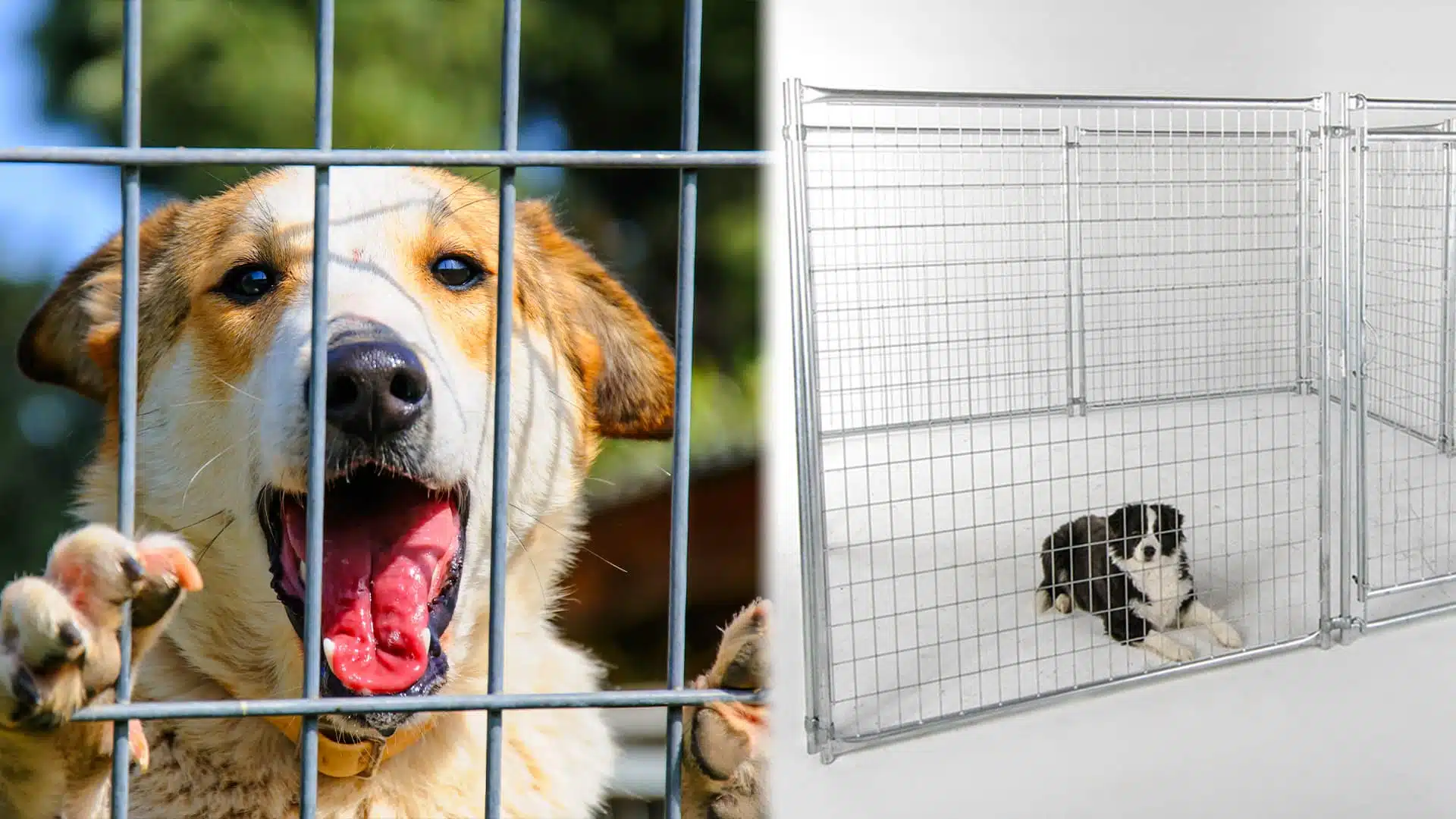 Modular Pet Enclosure mesh panel Banner