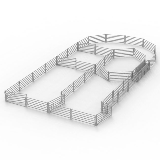 Empty sheep yard with metal fencing 320 Head