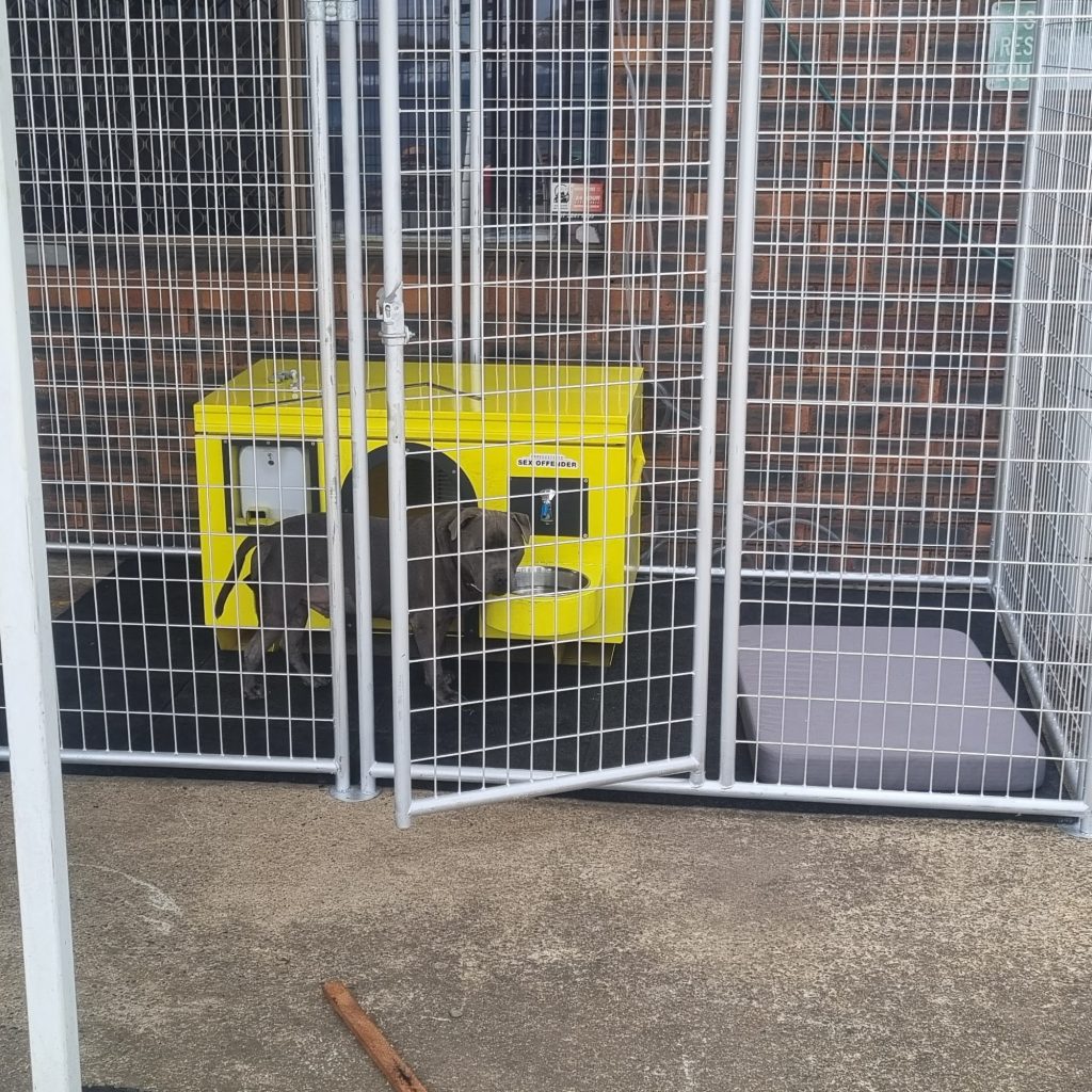 mesh panel pet enclosure