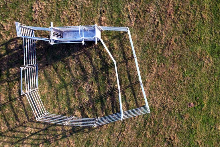 cattle panel 50 head