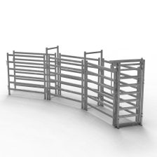 6 panel cattle curved race