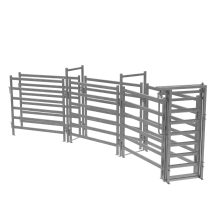 6 panel cattle curved race